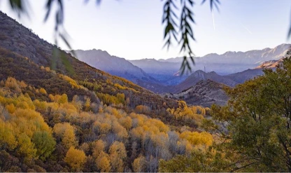 Salördek ormanları sonbaharda doğayla buluşmak isteyenleri ağırlıyor
