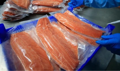 Türk somonu ihracatı 152 milyon doları aştı