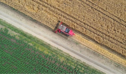 Türkiye’de tarımda 2025 panoraması