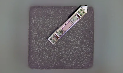 Tuz tanesi büyüklüğünde implant: Bir yıllık beyin aktivitesini kaydediyor