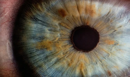 Yapay retina implantı kör gözlere görme yetisi kazandırıyor