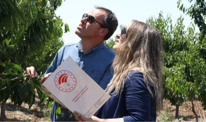 Zirai Don Olayı Araştırma Komisyonu taslak raporunu tamamladı