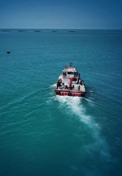 2025'te balıkçılık sektöründen tarihi rekor