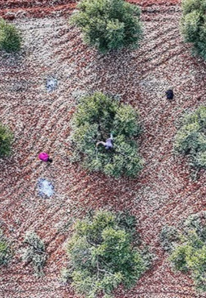 9 ilde ekonomik dönüşüm: Teşviklerle sanayi ve tarım güçlenecek