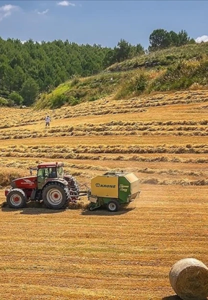 Avrupa'nın en büyük tarım-gıda alıcısı belli oldu