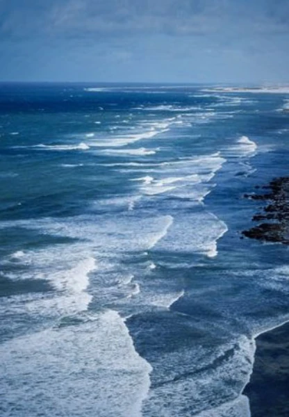 Balıkçılıkta küresel açılım: Türkiye IOTC gözlemcisi oldu