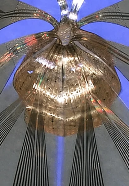 Biyoelektronikte yeni dönem: Organoidler 3D taranıyor