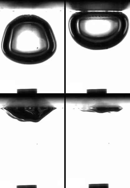 Biyoreaktörlerde verimliliği 1000 kat artıran membran