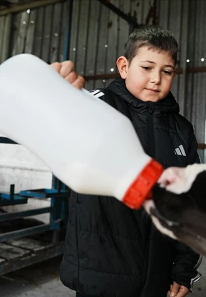 Çanakkale’de yapay zeka destekli süt çiftliği kuruldu