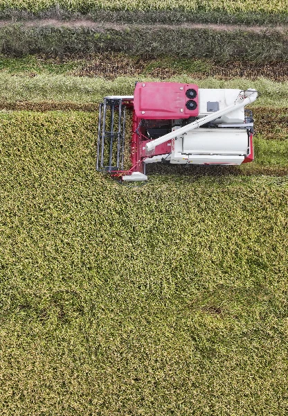 Çiftçilere 149,6 milyon liralık destek ödemesi bugün hesaplara yatıyor