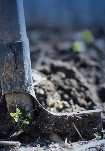 Gübre için kritik karar