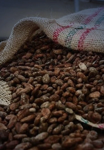 Türkiye kakaodan 1,7 milyar dolar kazandı