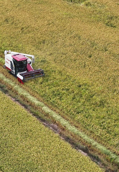 Kırsalda kalkınma 65,5 milyar liralık yatırımla desteklenecek