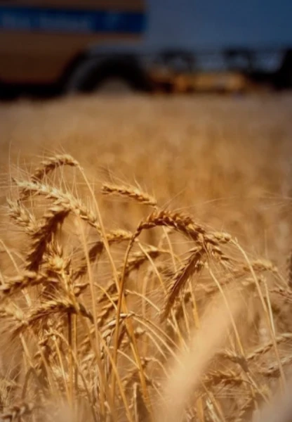Ortadoğu'dan savaşın uzayacağı endişesi tarımsal emtiayı vurdu