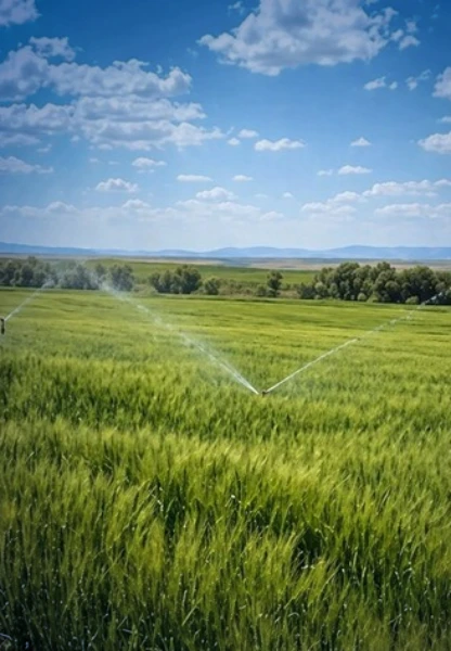 Tarımda yeşil finansman dönemi: KGF ve EFSE'den 100 milyon avroluk kaynak