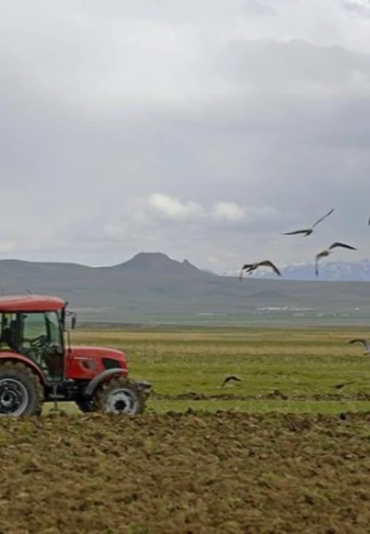 Tarımsal destek ödemesinin tarihi netleşti! 1 milyar TL'yi aşkın destek