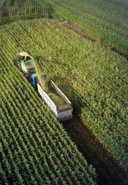 Tarımsal girdi maliyetleri: Ocak ayında yüzde 3,86 artış