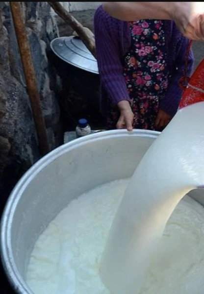 Toplanan inek sütü martta 1 milyon ton olarak gerçekleşti
