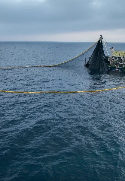 Afrika kıyılarından Afrika kıyılarından okyanuslara…