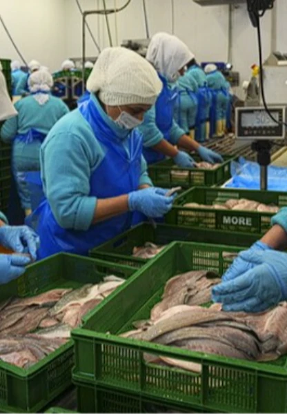 Türkiye geçen yıl 133 ülkeye 2,2 milyar dolarlık su ürünleri ihraç etti