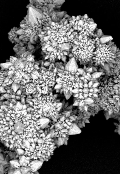 Yakıtsız uçan mikromotorlar geliştirildi: Işık gücüyle hareket ediyor