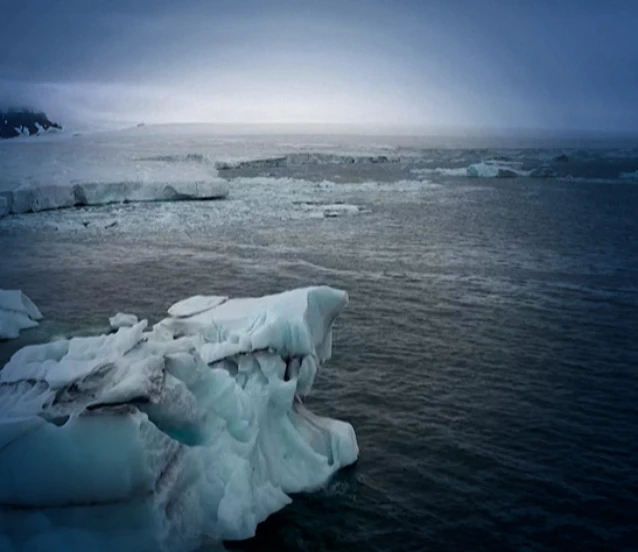 Kuzey Kutbu 125 yılın en sıcak yılını geçirdi
