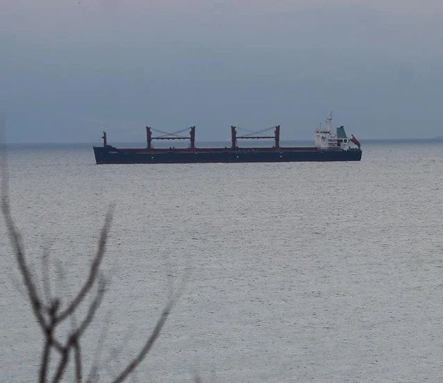 Türk sahipli deniz ticaret filosu dünyada ilk 10'a yürüyor