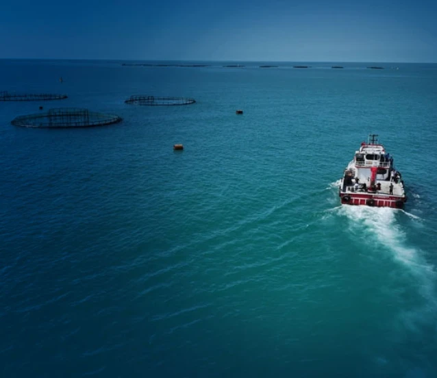 2025'te balıkçılık sektöründen tarihi rekor