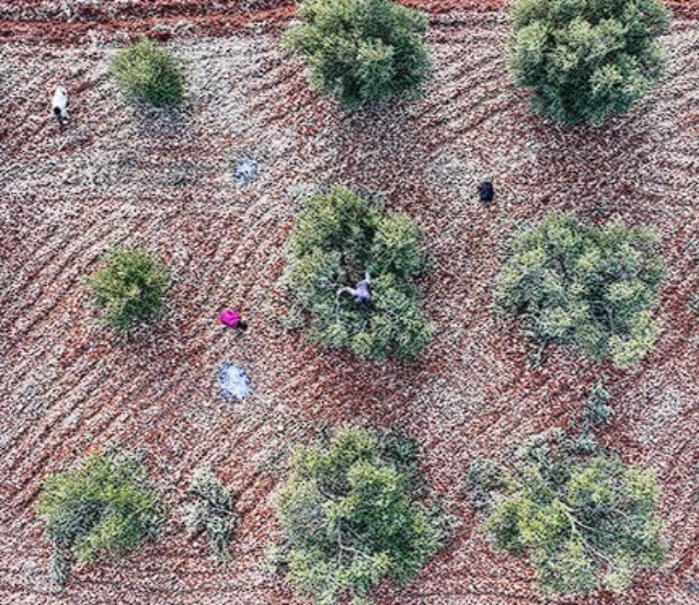 9 ilde ekonomik dönüşüm: Teşviklerle sanayi ve tarım güçlenecek