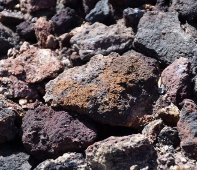ABD’de kritik mineraller zirvesi: Nadir topraklar için ortak adım çağrısı