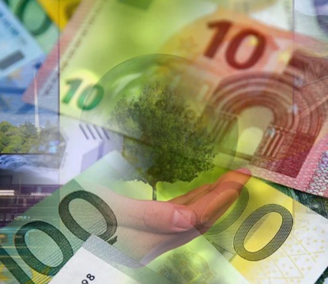 AB'nin yeşil dönüşüm yatırımları Türkiye'ye artıyor
