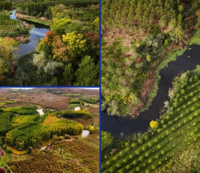 Sakarya’da doğa fotoğrafçıları için eşsiz manzara