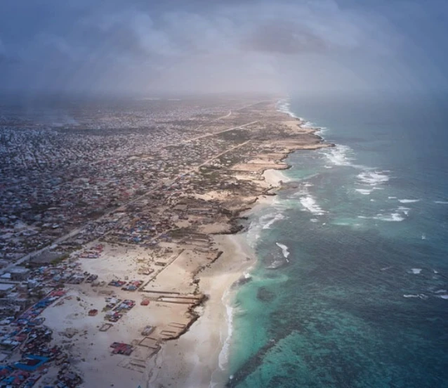 Afrika sularında yasa dışı avcılık krizi: Türkiye'nin Somali modeli kıtaya örnek olacak