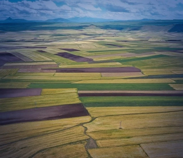 Arsa ve tarlaya ilgi sürüyor: Satışlar 2025'te 1,6 milyonu aştı