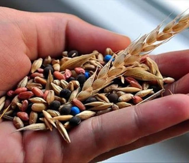 Bakan Yumaklı: Tohum üretimimiz 9 kat arttı, 103 ülkeye ihracat yapıyoruz