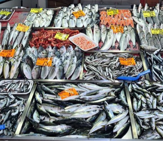 Balık fiyatlarını etkileyebilir! Balıkçılar bir haftadır denize açılamıyor