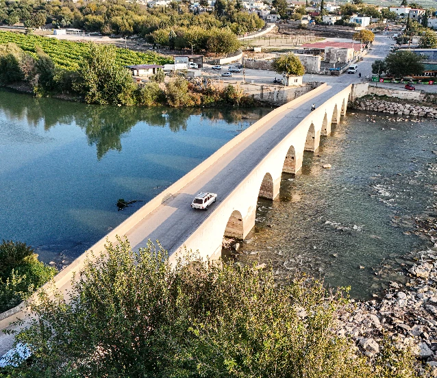 Balık ölümleri arttı! İnceleme başlatıldı