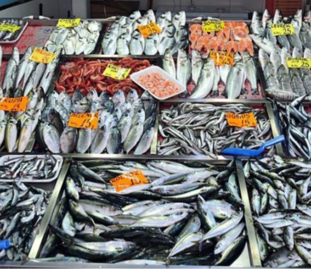 Balıkçılar yeni yılda sardalya ve istavrit umuduyla ağ atacak