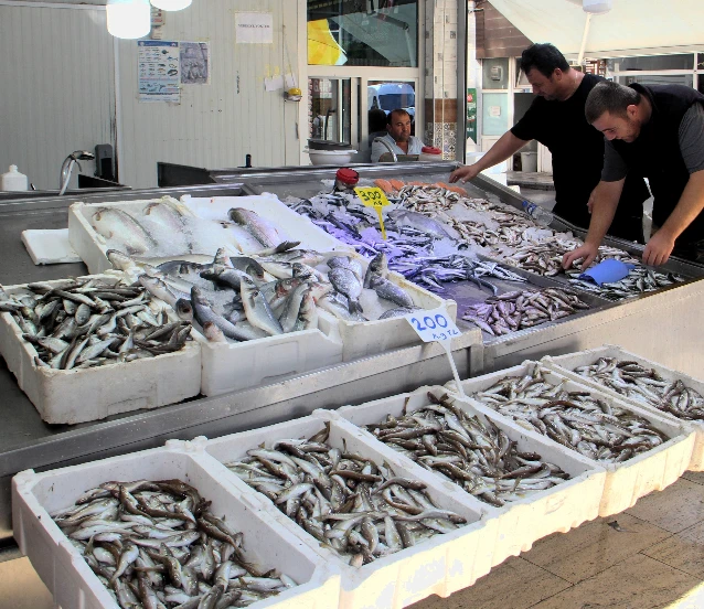 Balıkçılıkta geri sayım: Av yasağına son 9 gün!