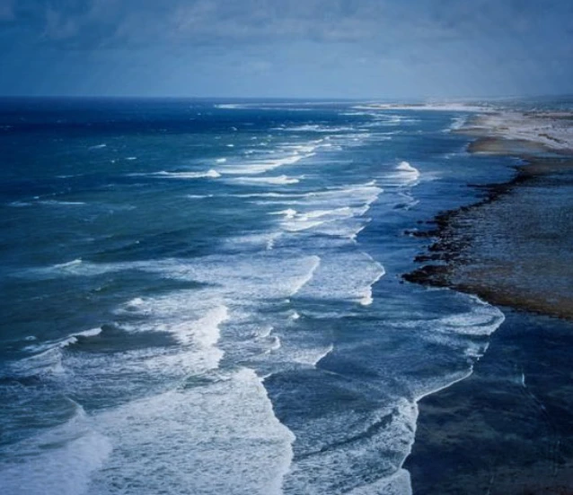 Balıkçılıkta küresel açılım: Türkiye IOTC gözlemcisi oldu