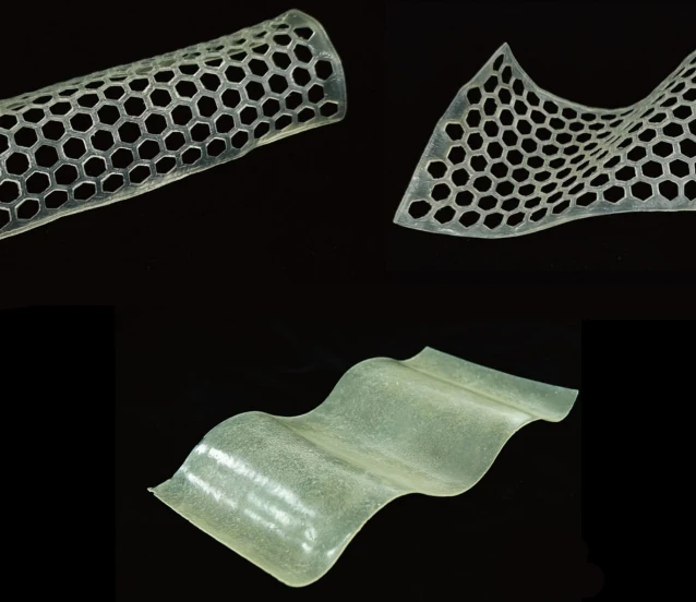 Bambu’dan moleküler Plastik: Yüksek dayanım, yüzde 90’lık geri kazanım