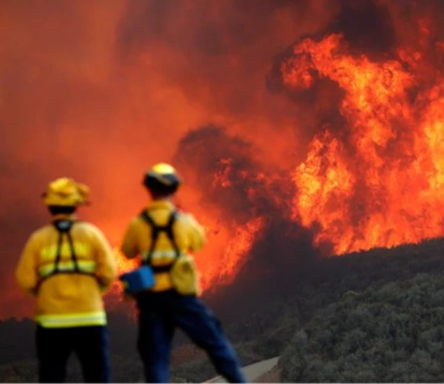 California'ndaki yangınlar 22 bin hektar alanı kapladı