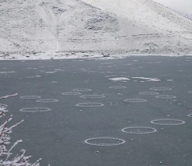 Çat Barajı'ndaki 'Yüzen adalar' buz tuttu