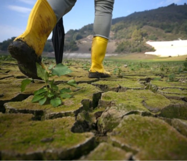 Çevreyi korumanın maliyeti belli oldu! 441 milyar lira harcandı