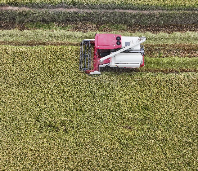 Çiftçilere 149,6 milyon liralık destek ödemesi bugün hesaplara yatıyor