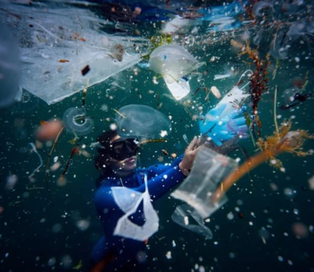 Deniz kirliliği raporu: 28 ilde 325 bin ton atık toplandı