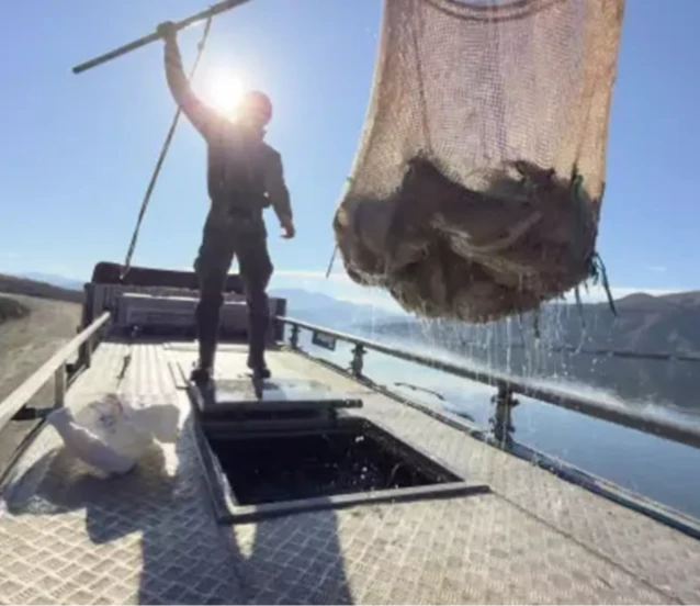 Denizi olmayan Tokat’tan Japonya ve Avrupa’ya Türk somonu ihracatı