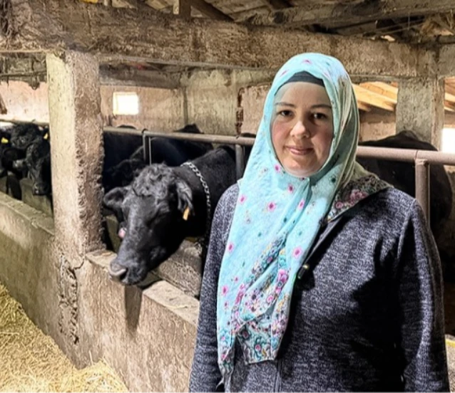 Devlet desteğiyle büyüdü: Kadın çiftçi sürüsünü ikiye katladı