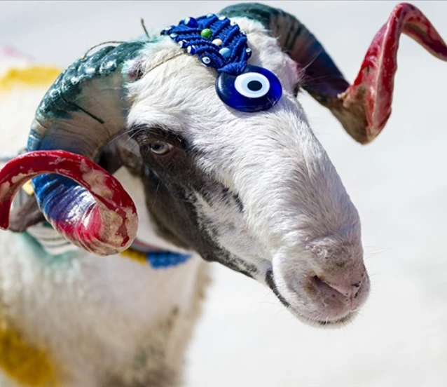 DİYANET KURBAN BAYRAMI TAKVİMİ: 2026 Kurban Bayramı hangi tarihte?