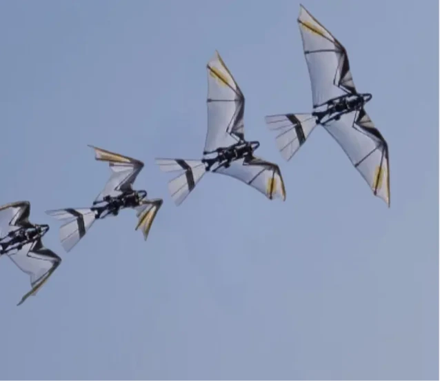 Doğadan ilham alan ‘RoboFalcon’ kuş gibi havalandı